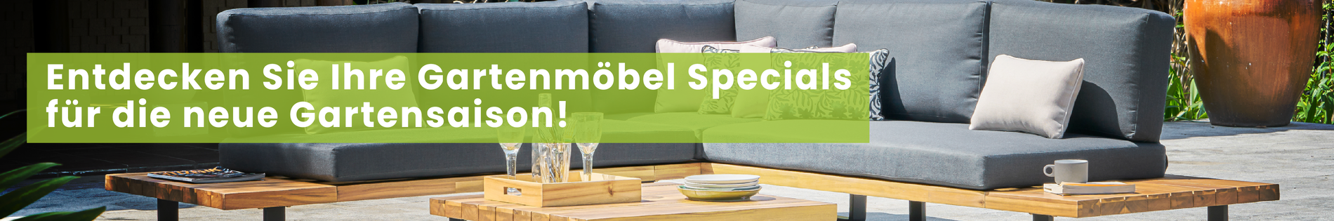 Specials LP Banner
